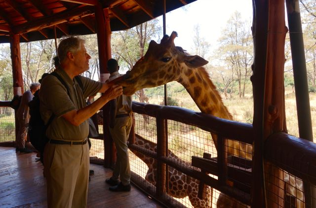 Giraffe Center Kenya Stephen Henson