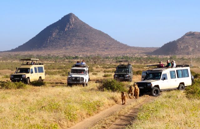 Samburu Kenya safari vehicles lions