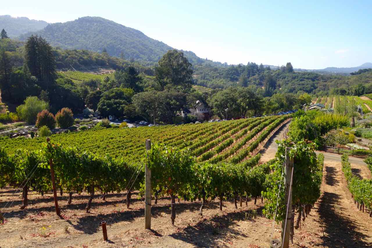Benziger Vineyards Sonoma Valley California
