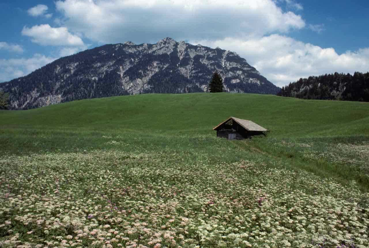 Countryside near Lermoos Austria