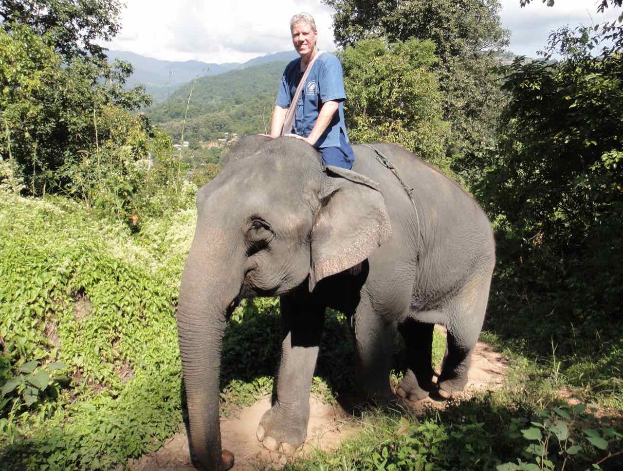 Elephant Chiang Mai Thailand Stephen Henson