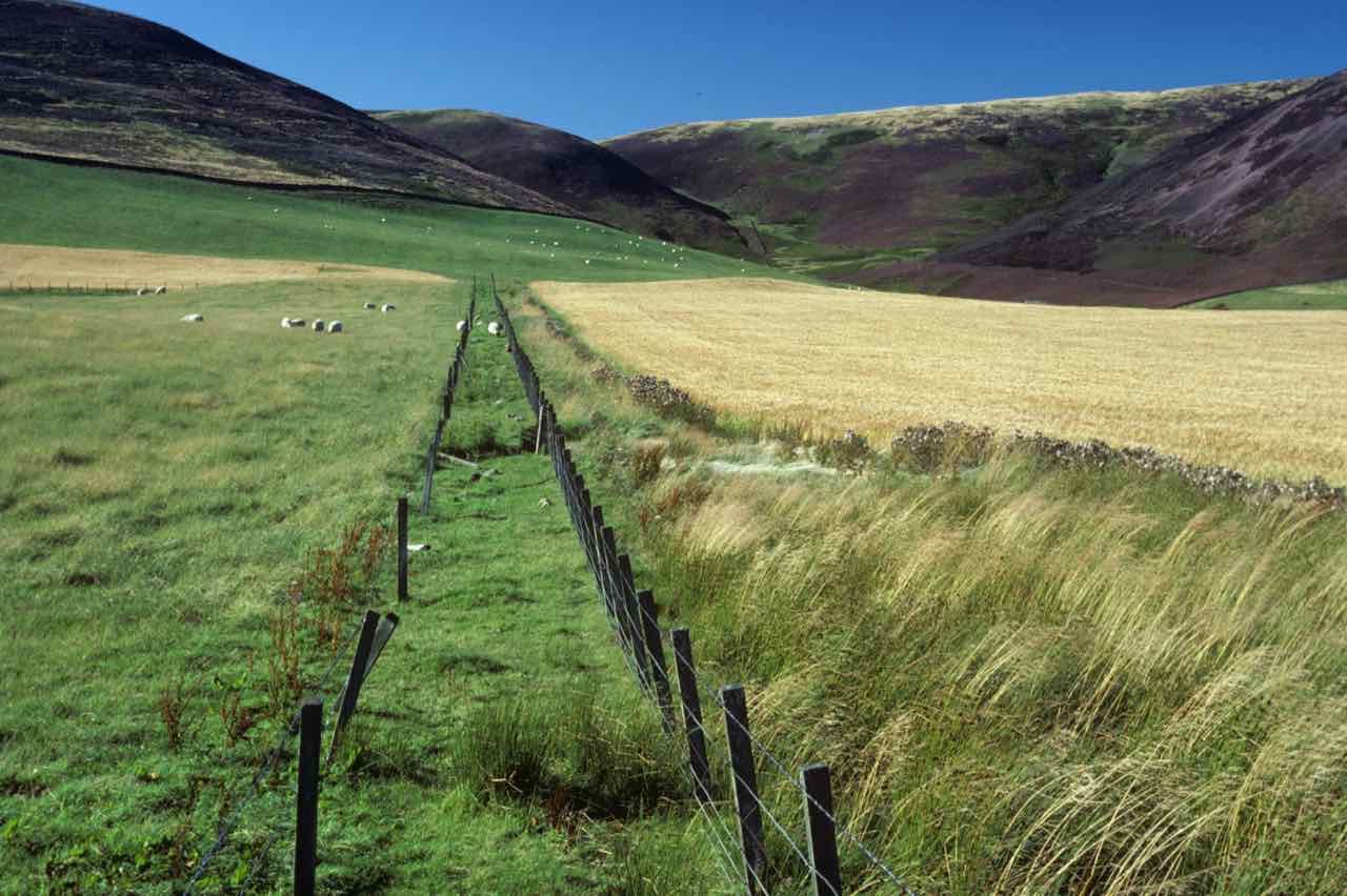 Scotland countryside