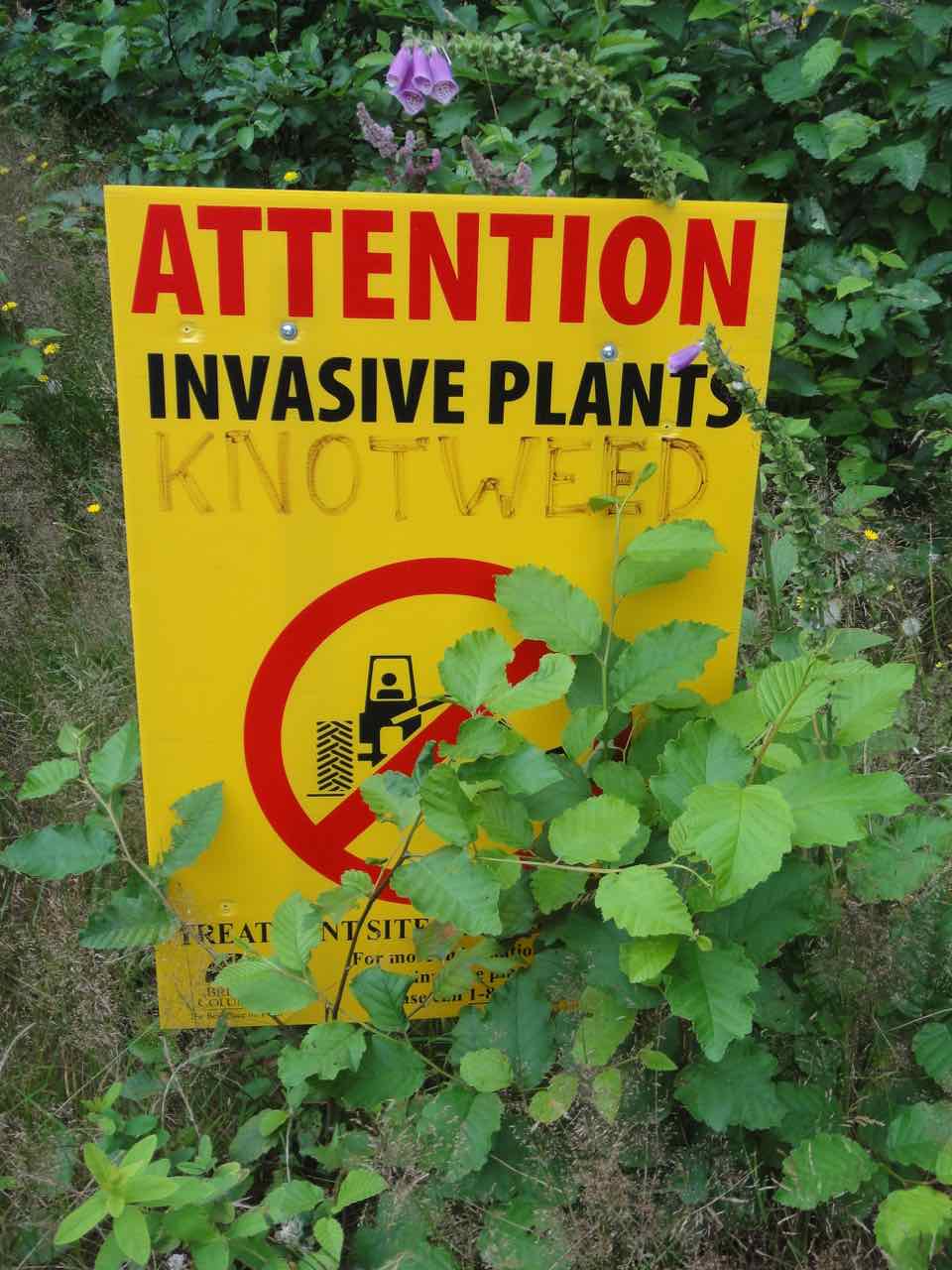 Invasive plants sign Maui