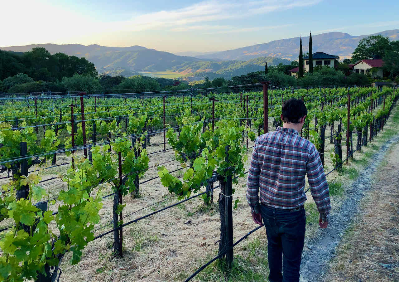 Road trip to Orsa wines in Mendocino County - Journeys With Stephen