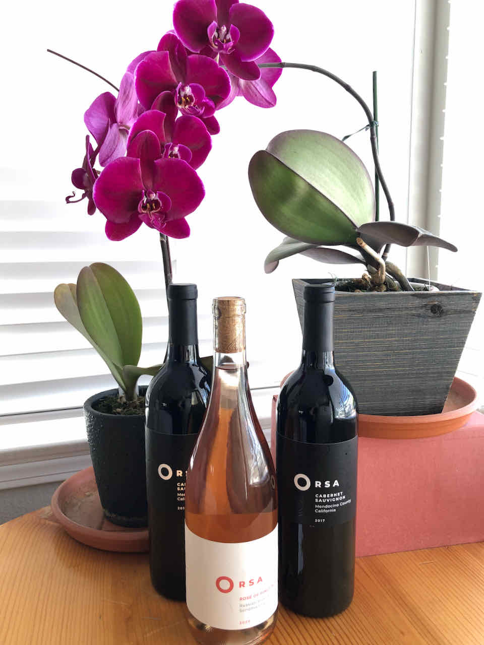 Orsa wines and orchids
