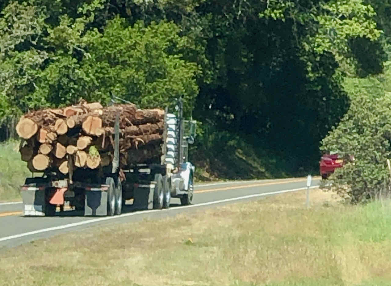 Redwood logs Boonville CA