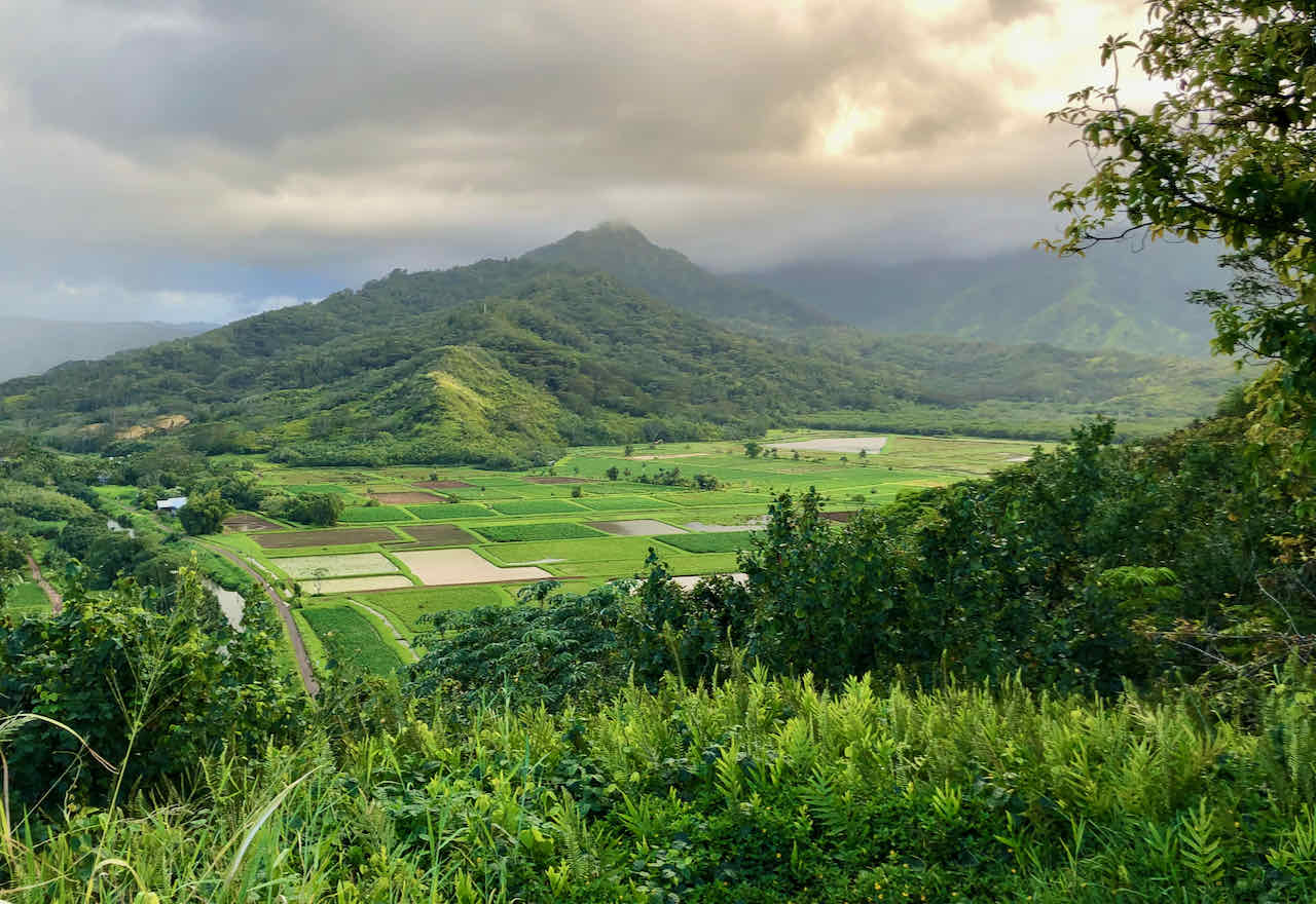 Hanalaei Valley lookout Kauai