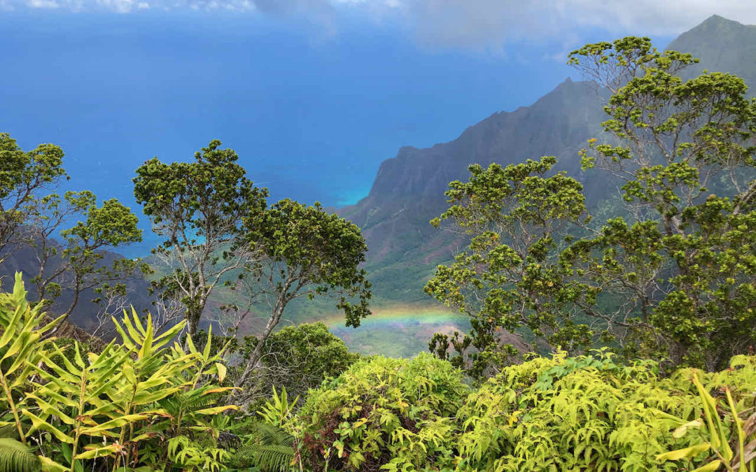 Rainbow Kokee State Park Kauai
