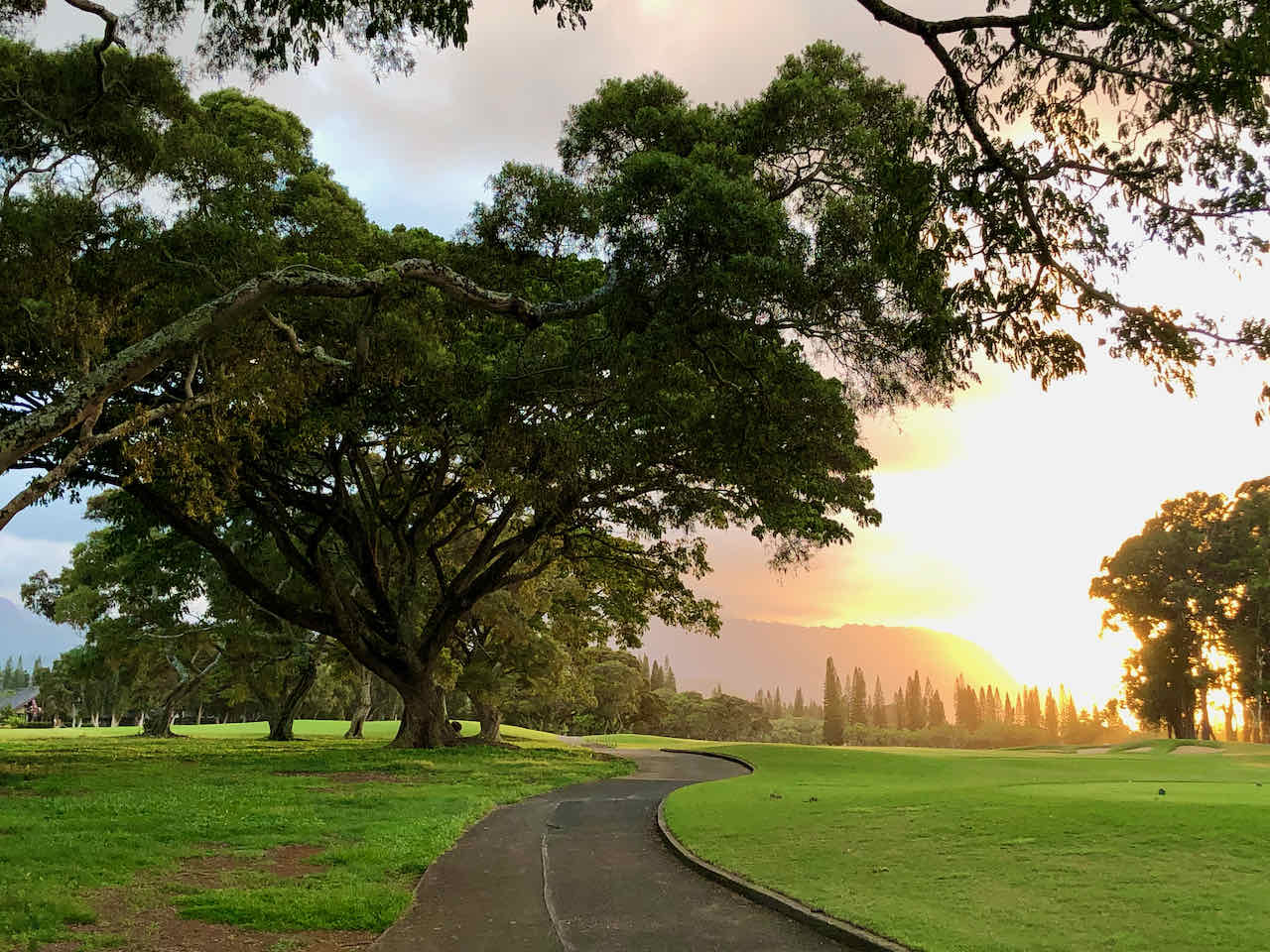Walk Makai Golf Course Princeville Kauai