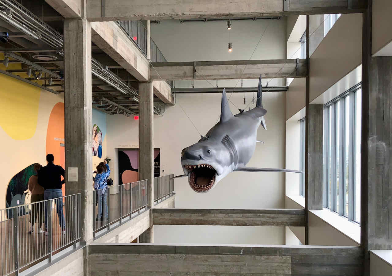 Bruce Jaws shark Academy Museum
