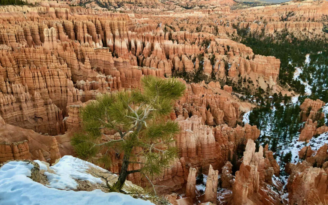 Bryce Canyon Sunset Point