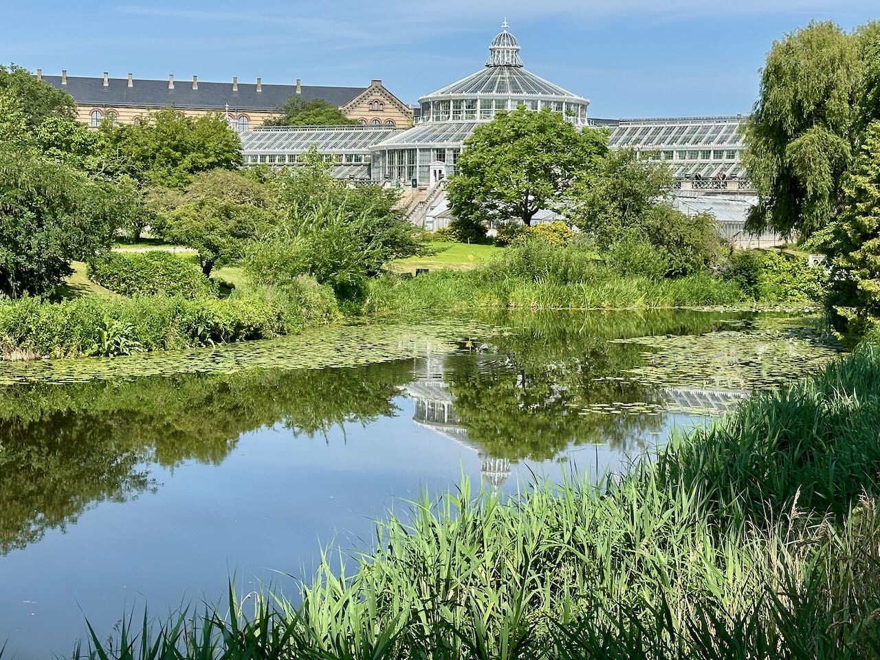 Botanical Garden Palm House Copenhagen