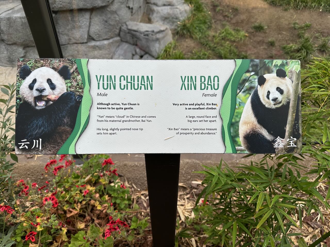 Panda Ridge sign San Diego Zoo