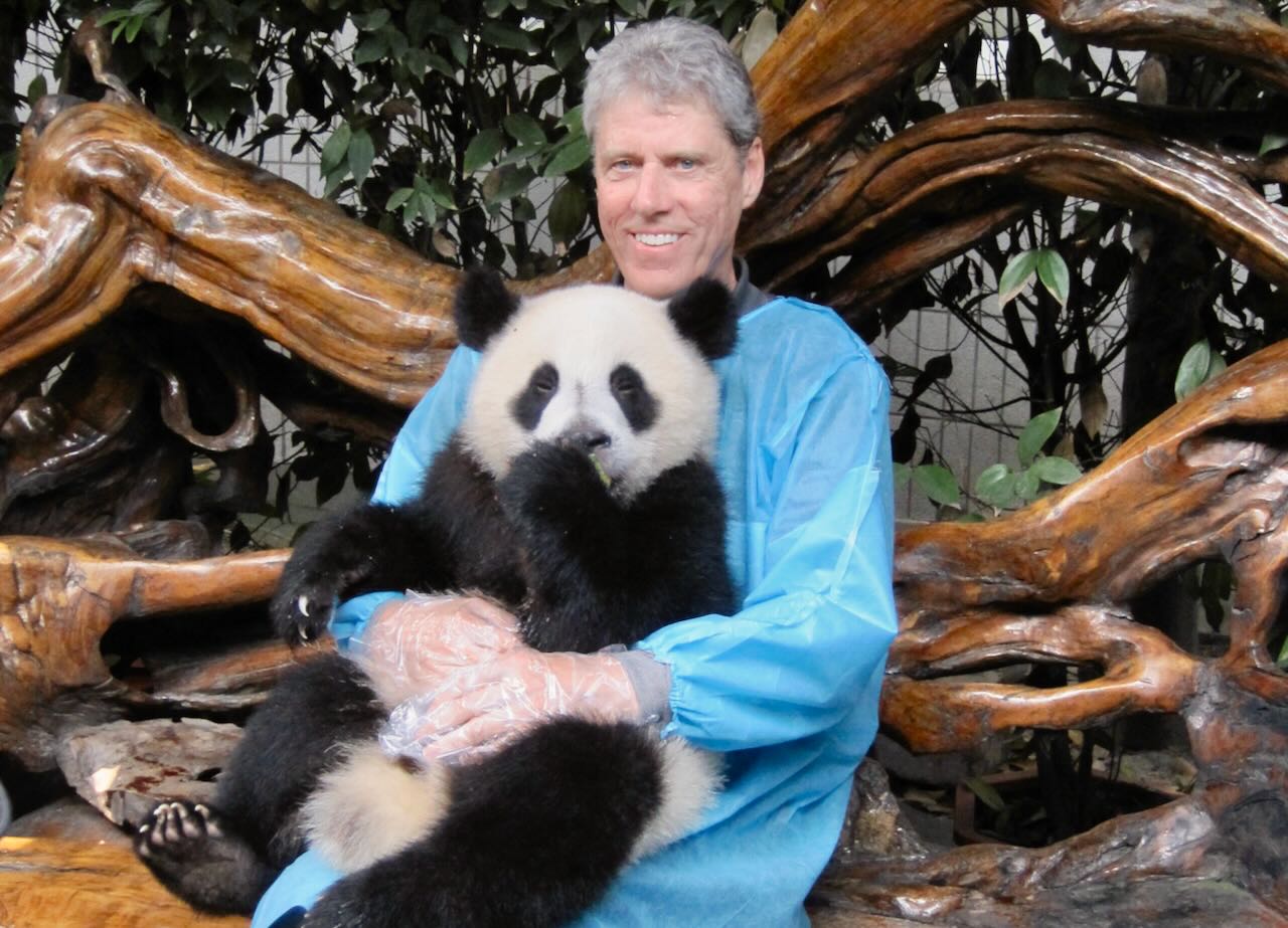 Stephen Henson holding panda Chengdu